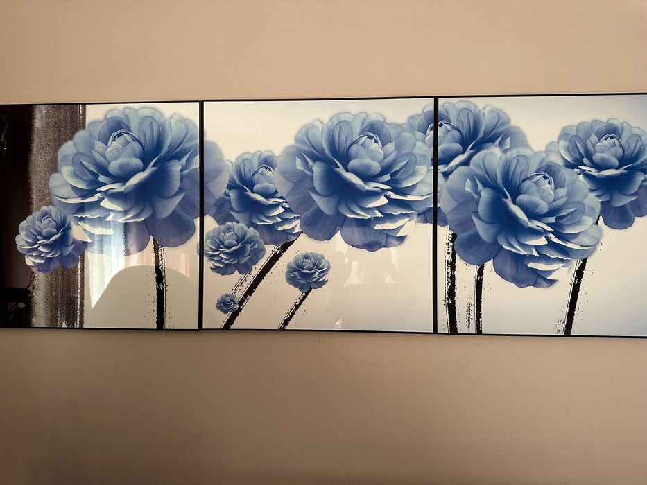 Картина, телевизор