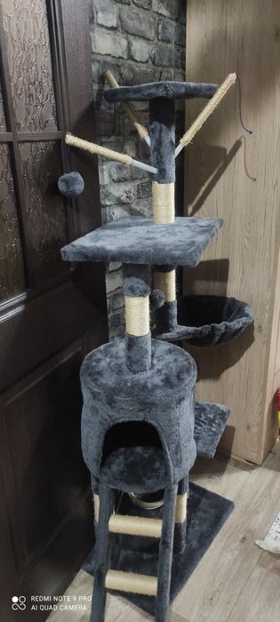 Когтеточка большая