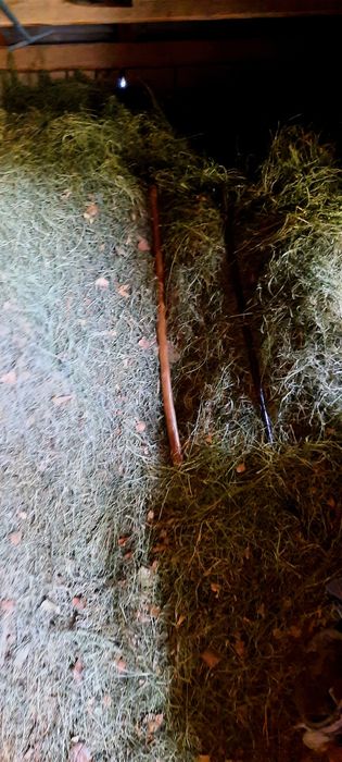 Жонышка Сатылады