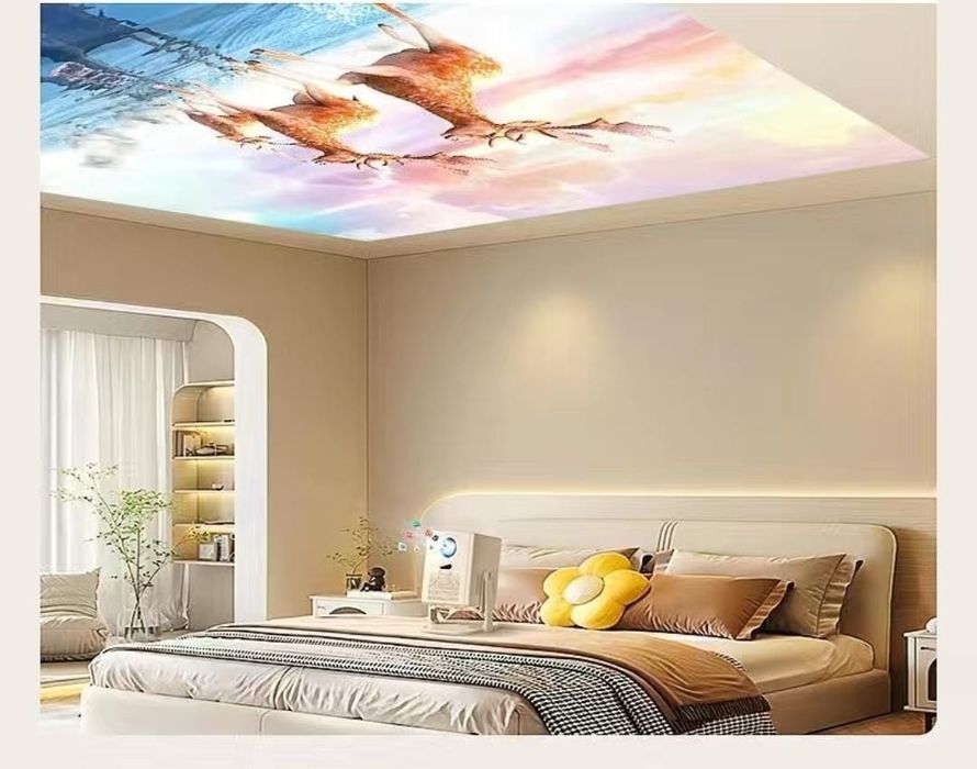 Проектор , домашний кинотеатр.