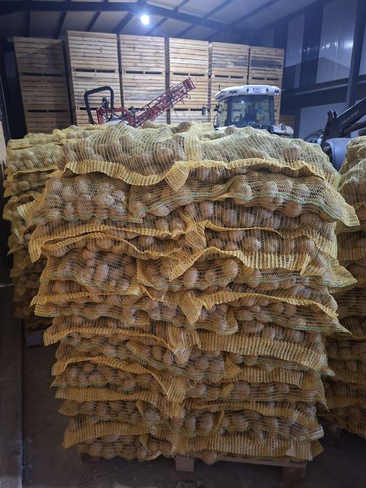 Картофи за консумация ,,СОРАЯ"