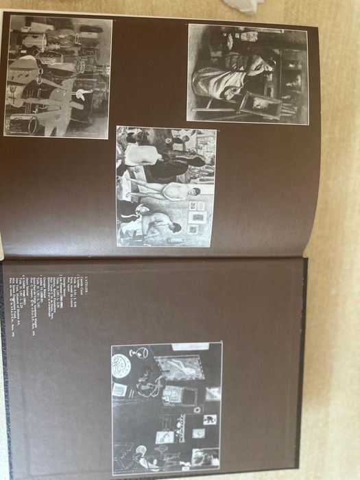 Vând „Le Larousse des Grands Peintres”, volum de artă în limba franceză, sub direcția lui Michel Laclotte,