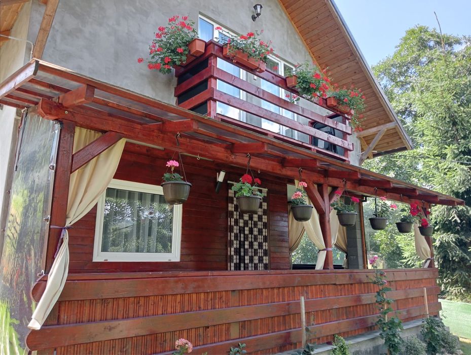 Cabana de inchiriat cu ciubar Galaoaia (Borzia)