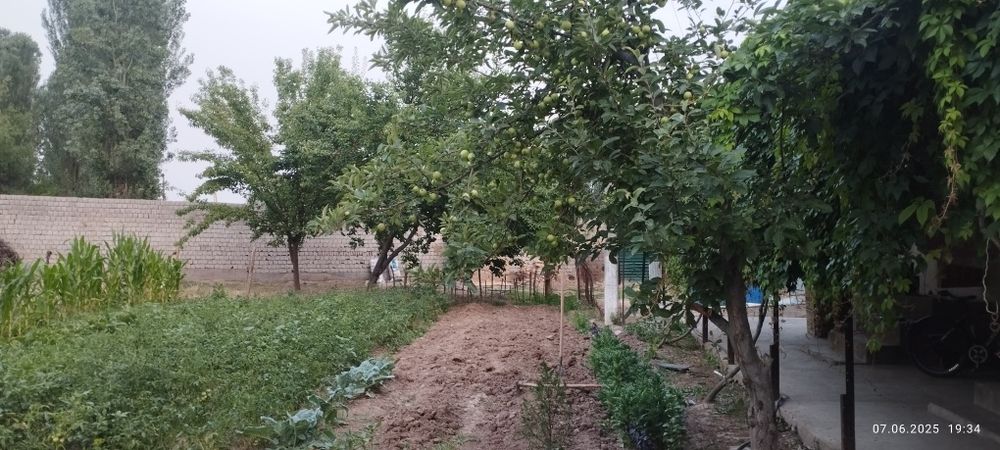 10 сотик ер 3 хона уйи билан сотилади,жуда су́лим жойда жойлашган