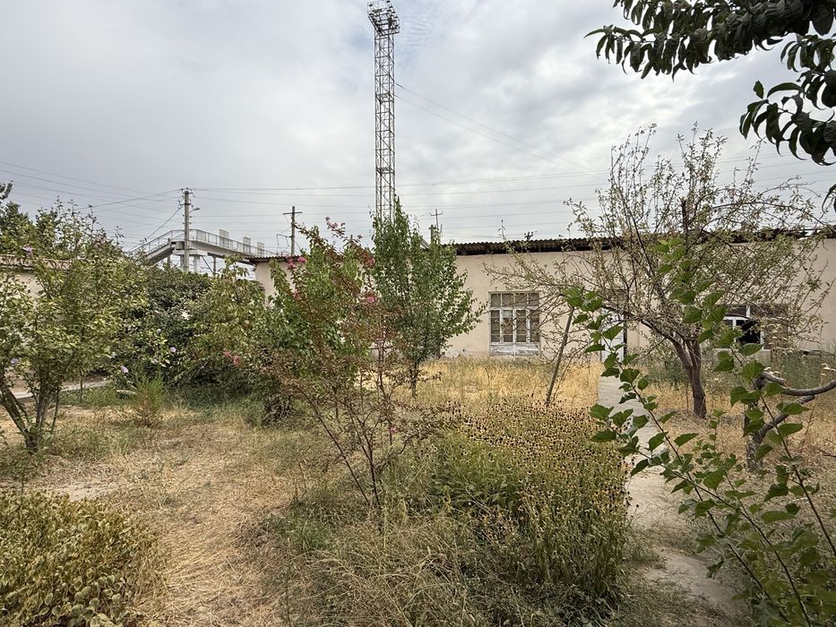 Hovli sotiladi. Yo'l yuzida