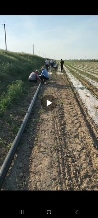 капельный орошения Tomchilatib sugirish