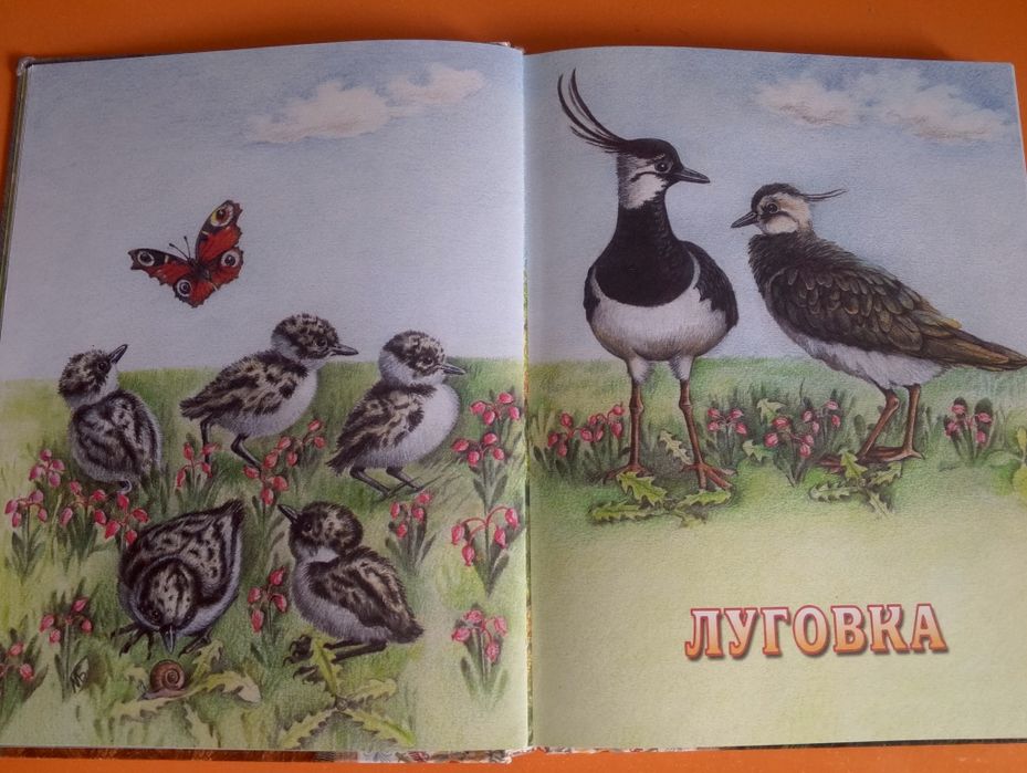 Книга рассказы о животных сборник