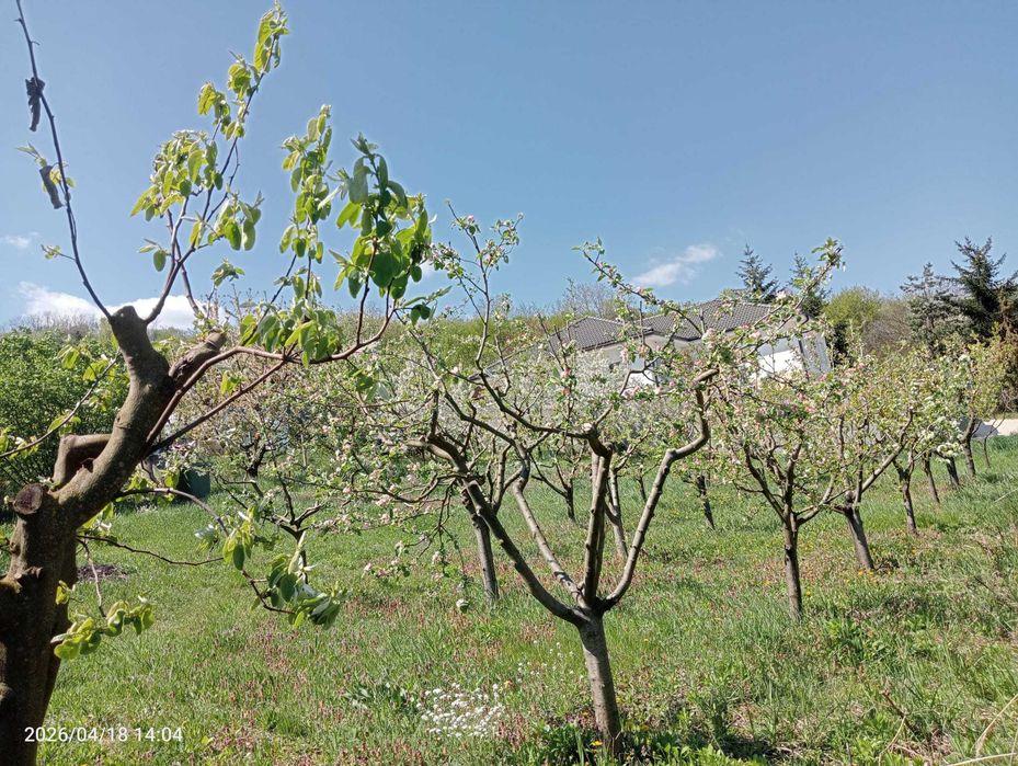 Teren de vânzare Aiud - zona Parc