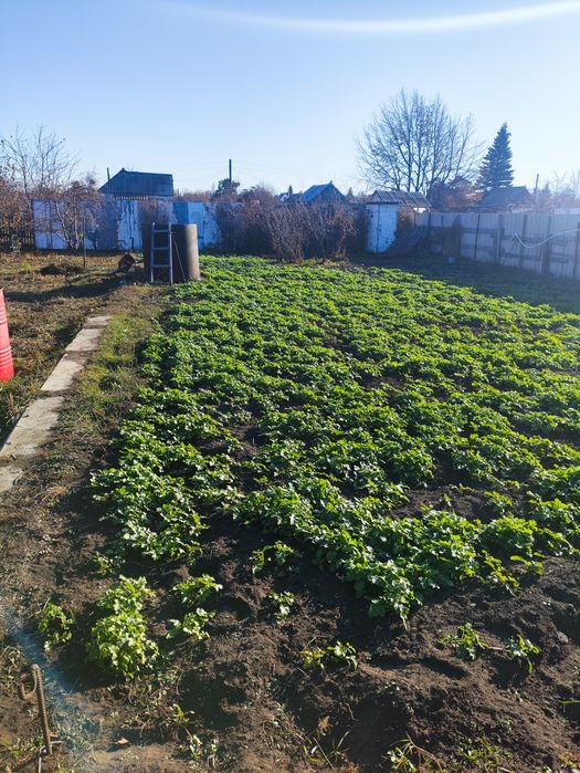 Дача, сады 1 , 4 квартал