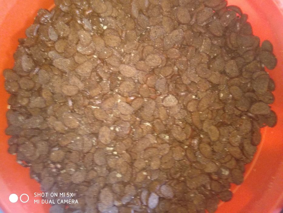 Домашние чесночные сухарики