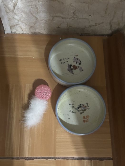 Отдам кошку в хорошие руки