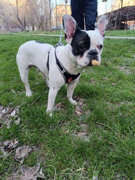 Мальчик, в мае будет год.