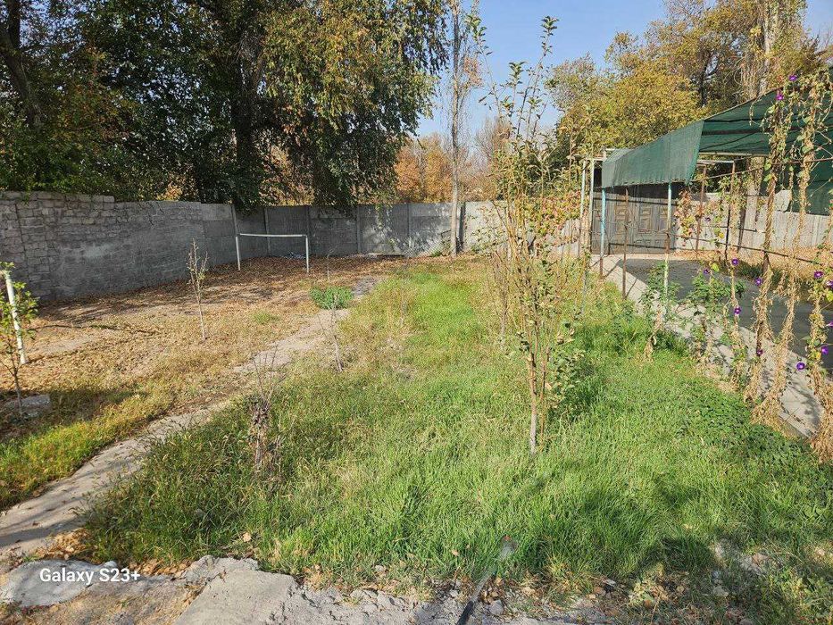 Дача в дачном товариществе