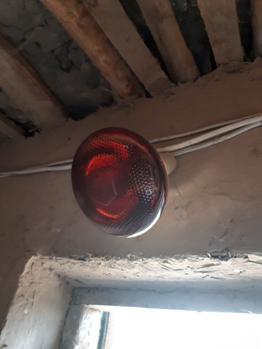 Инфракрасная Лампа