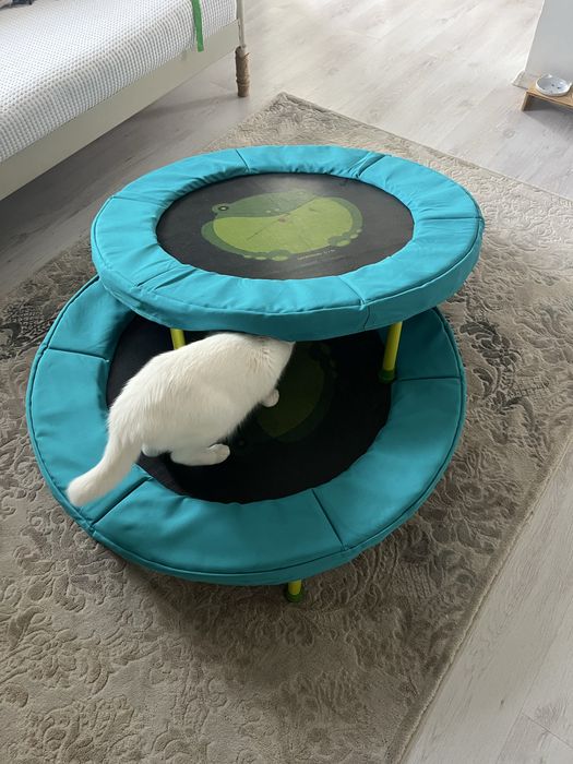 Trambulina de apartament pentru copii