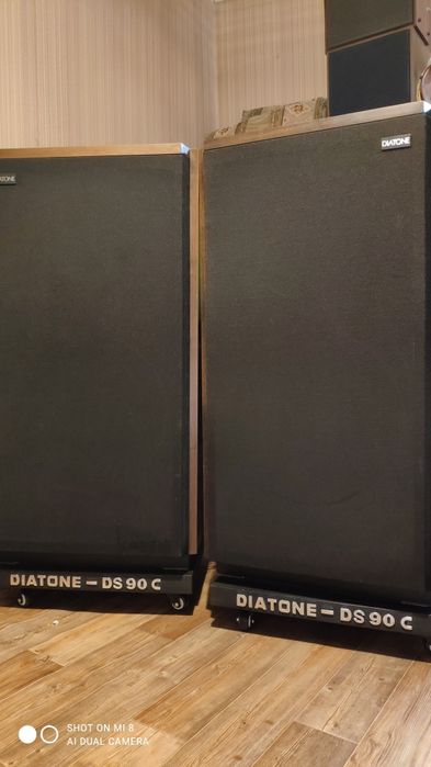 Акустика Diatone DS-90C
