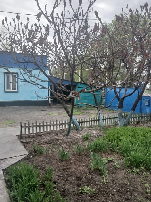 Продам дом в Бактыбай