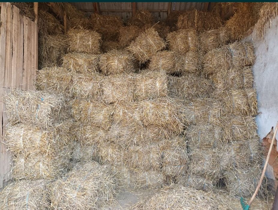 Vând baloți de paie și fân