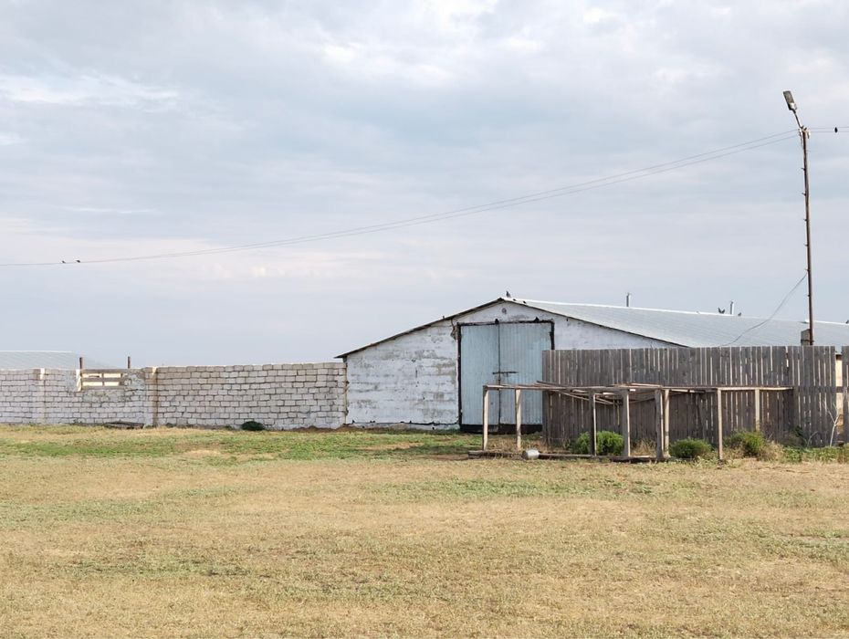 Шаруа қожалық сатылымда