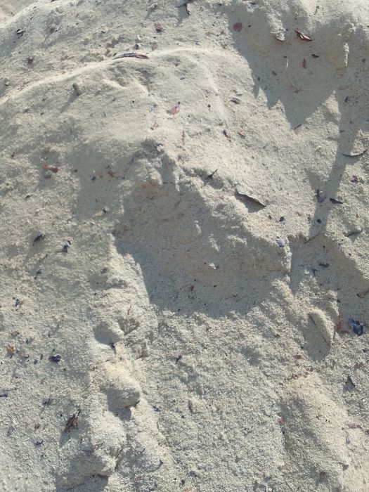 Опилки с доставкой машина газ52