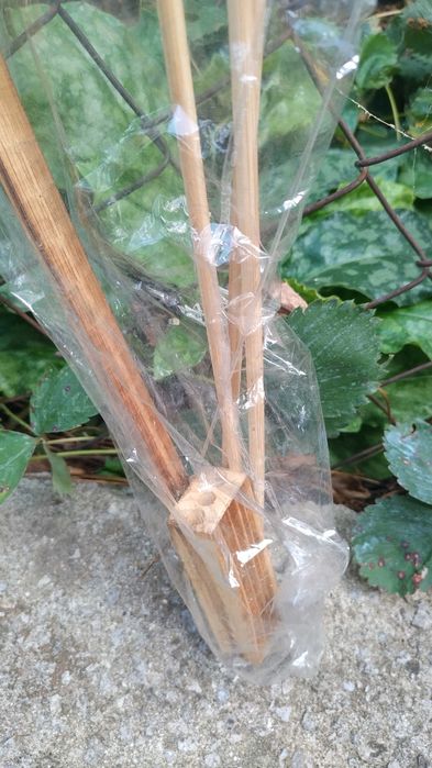 Стара метална туба , дървени поставки