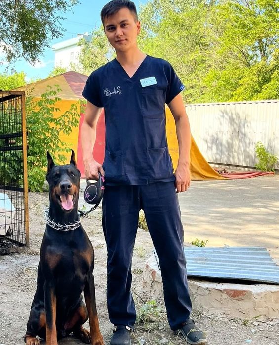 Ветеринар на выезд