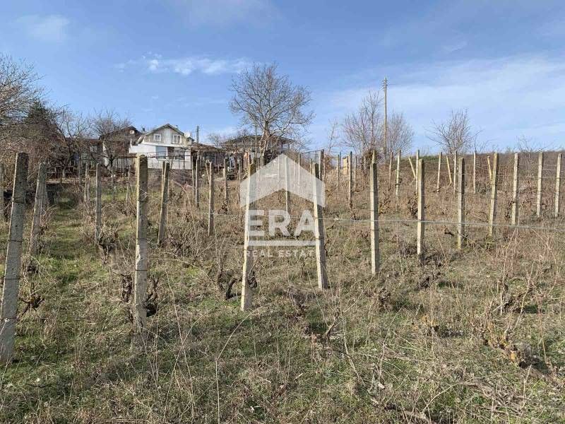 Продава се Парцел в с. Доброглед, Област Варна - 826 кв.м за 43 €/кв.м - Снимка #1