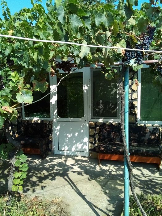 Дава се под наем Къща в Свищов - 150 кв.м за 153 € - Снимка #5