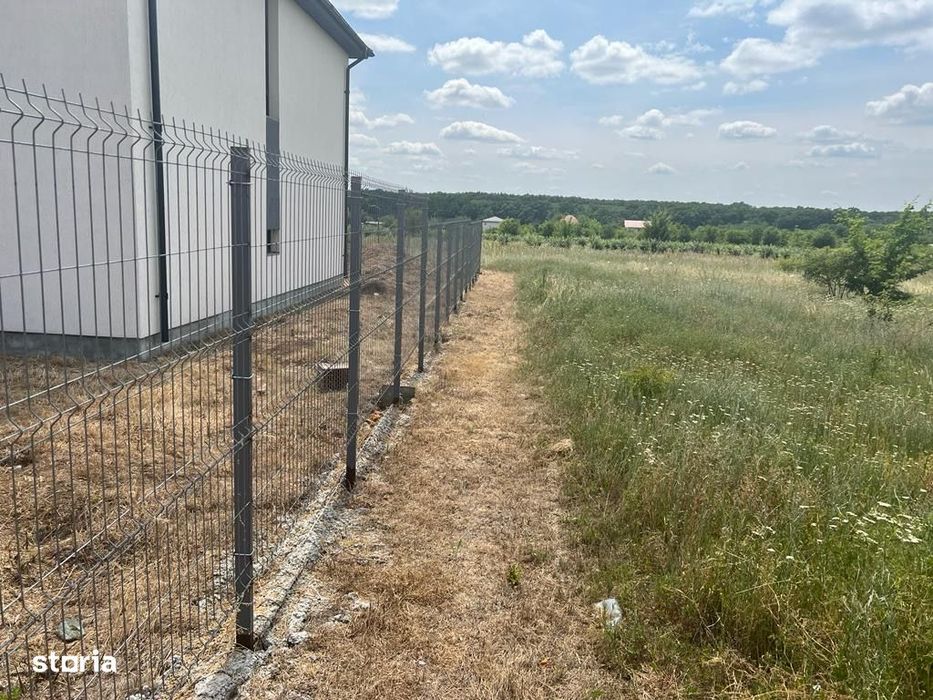 Vand Teren intravilan Branesti Str Violetelor 1036mp direct proprietar