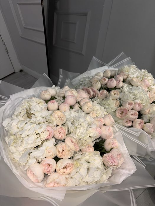 цветы продам за 6000