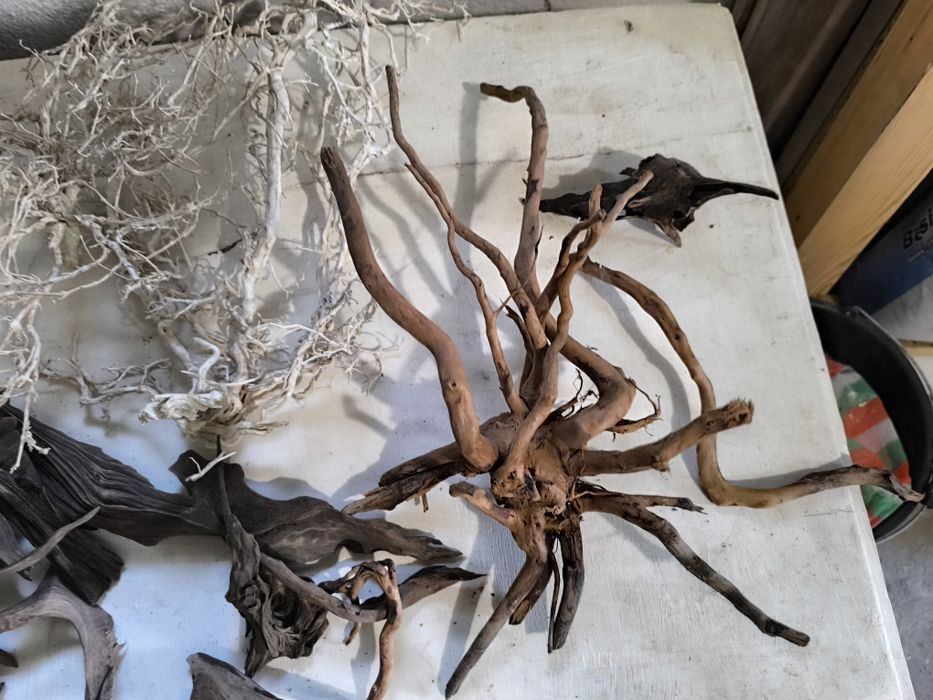 Аквариуми със стъклен капак нови