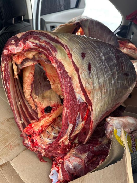 Соғым сатылады ет мямо