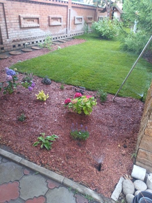 Озеленение участка