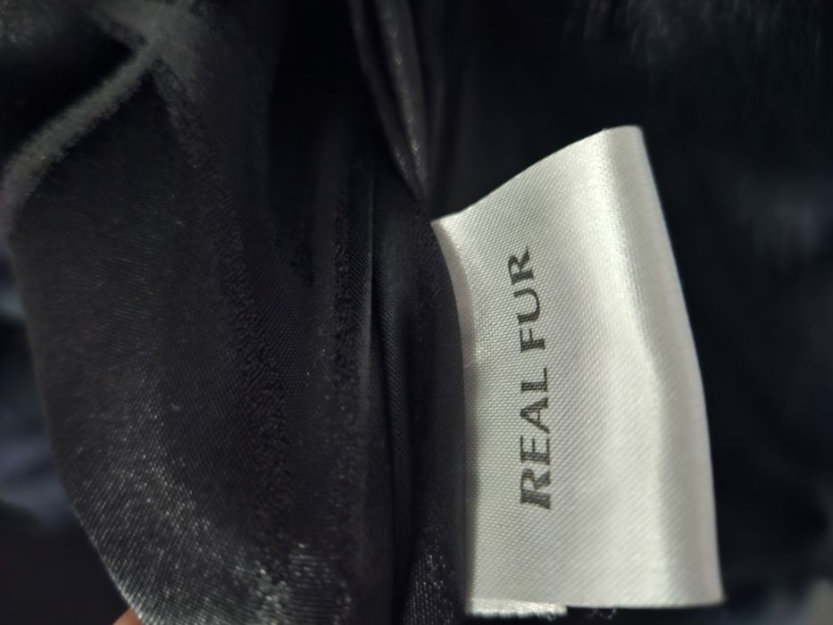 Haina blana vulpe polara