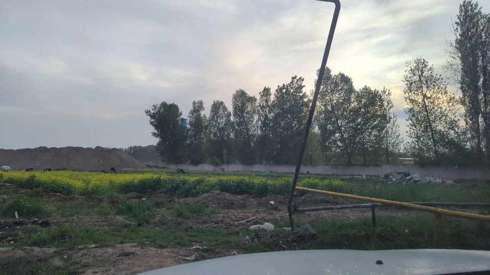 Янги Тошкент Срочно продаю свой участок