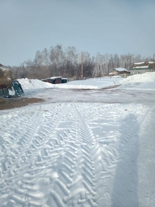 Подам сено в скерде