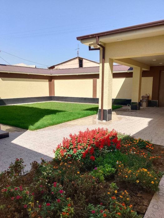 Новый Участок! Кибрай лимонарий 3.5 соток