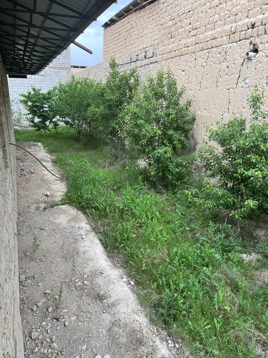 Участок 10 соток