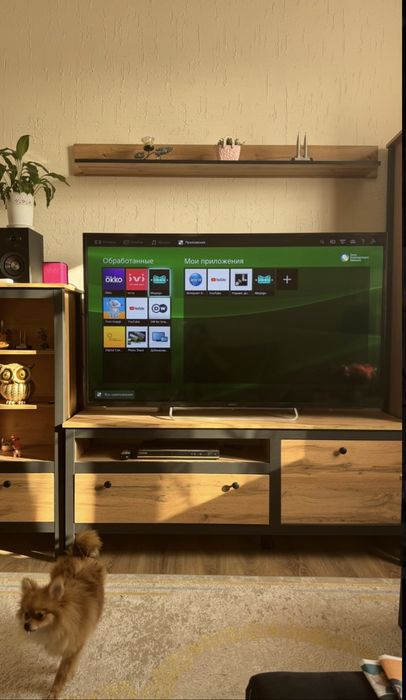 Телевизор Sony Bravia