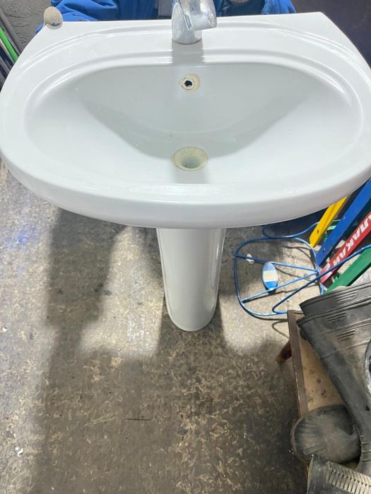 Продается ракованя тюльпан