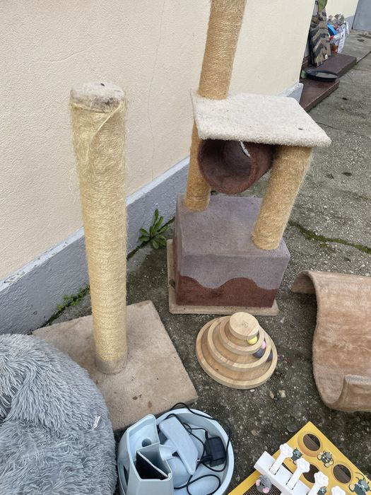 Accesorii pentru pisici