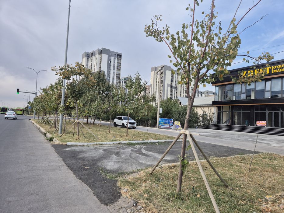 Аренда помещения со складом, клиника,  call center  Янги хаёт 10 худуд