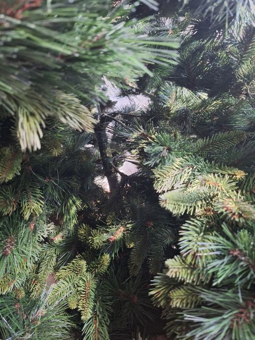 Елха  коледна 2,50м.