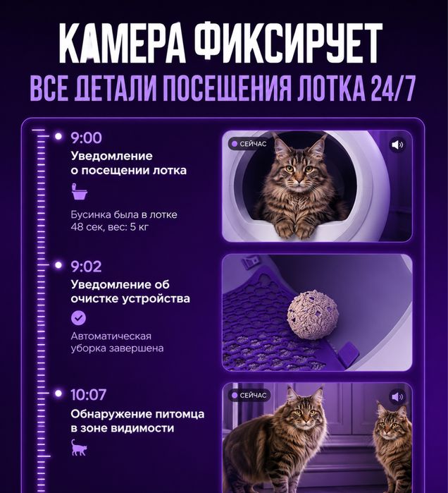 Автоматический лоток для кошек