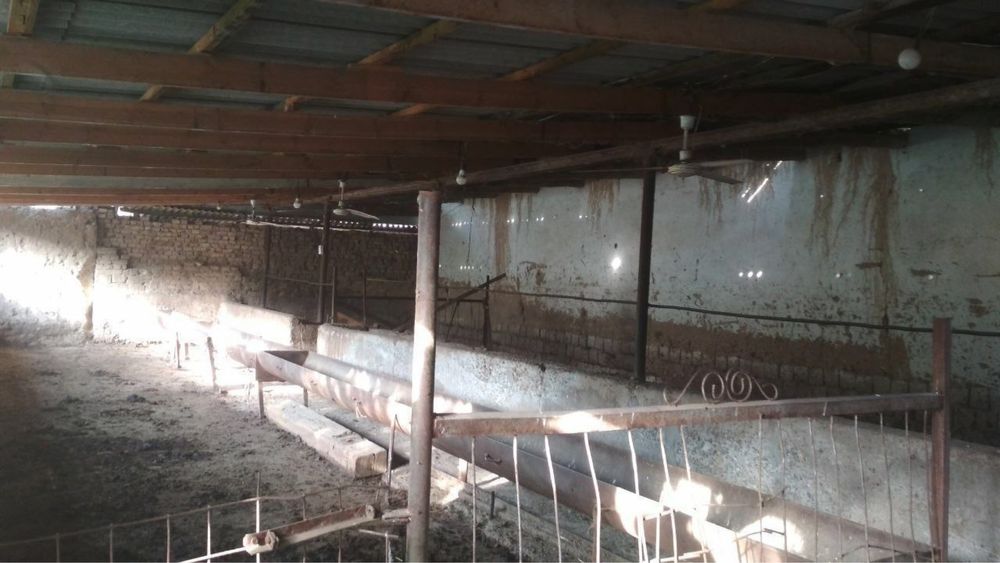 Xovli sotiladi 9 sotix