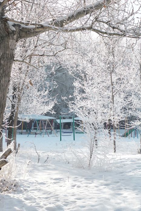 Canon EOS 750D фотоаппарат