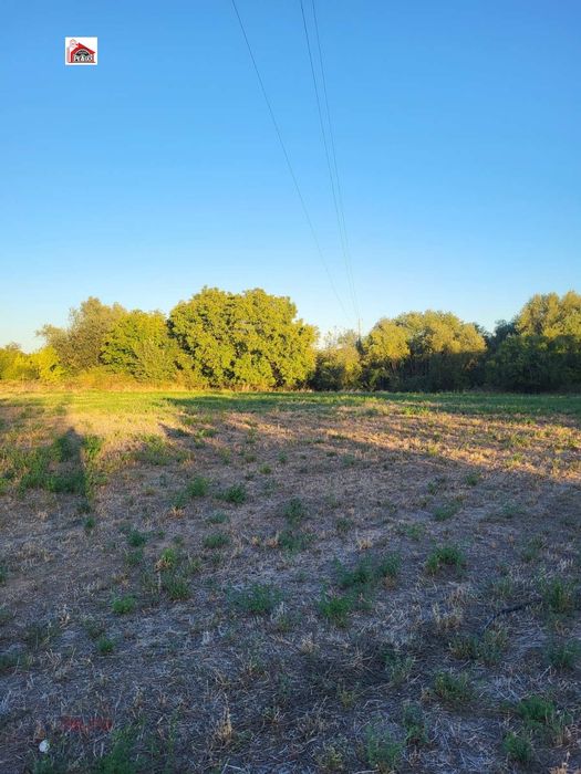 Продава се Парцел в с. Бошуля, Област Пазарджик - 4000 кв.м за 8 €/кв.м - Снимка #1