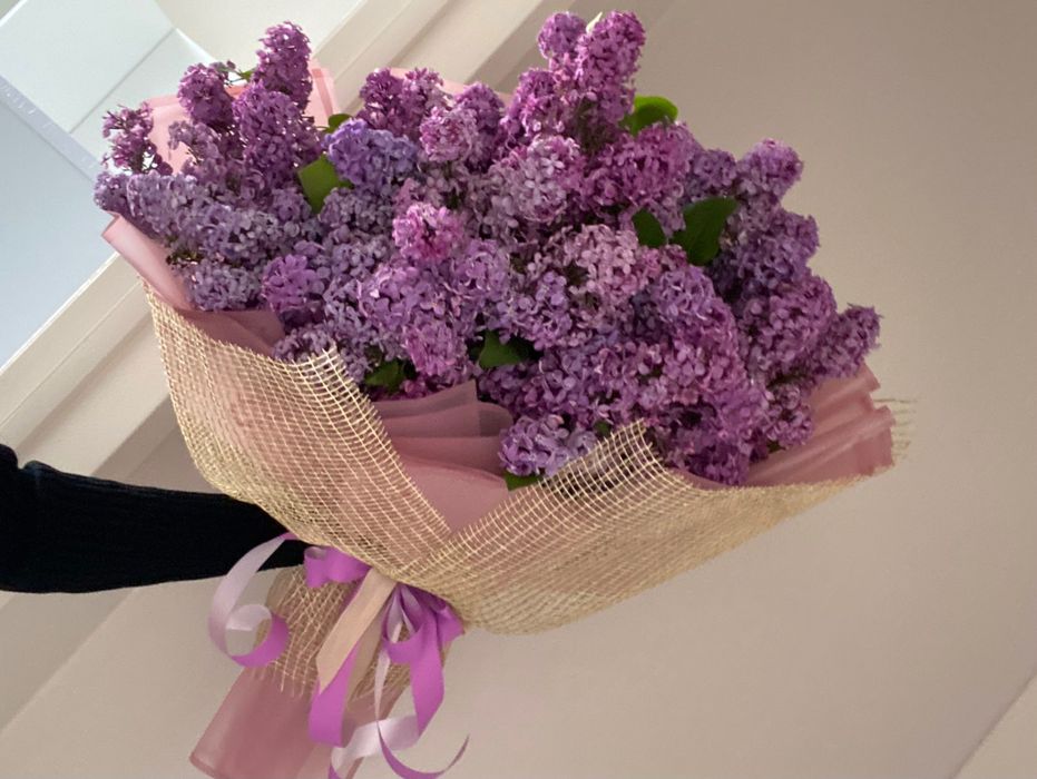Сирень, букет из сирени сорт королевский