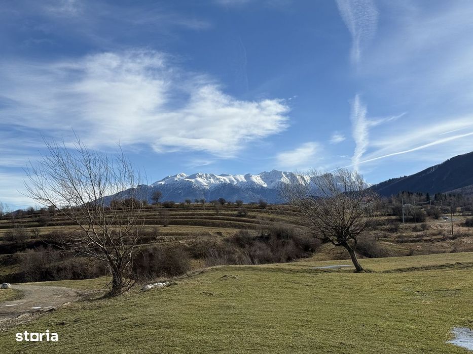 Teren intravilan 574 mp in Zarnesti zona Grui pentru casa