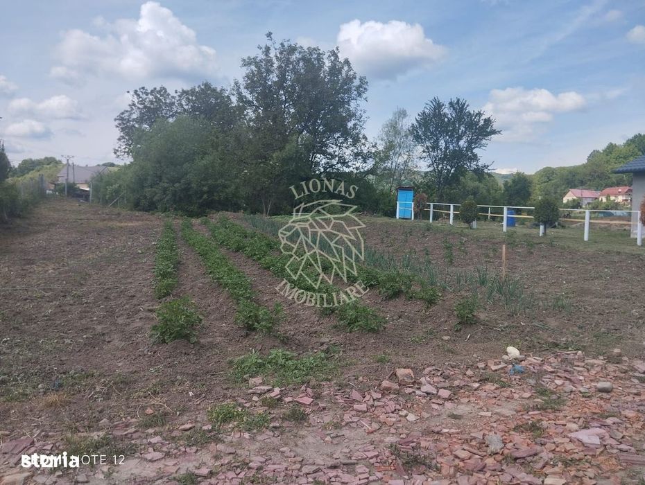 Teren 701 mp-ideal investitie, cabana, gradina-Slatinita